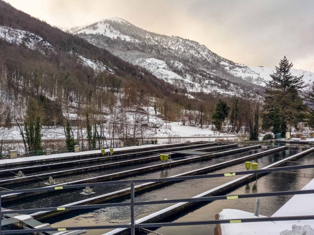 Piscifactoría Les Caviar Nacarii en invierno con nieve